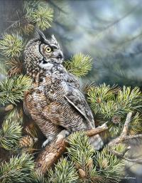 Twilight - Great Horned Owl by Julia Hargreaves
