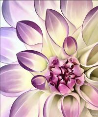 Dahlia 15 by Laurie Koss