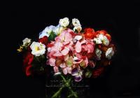 Hydrangea Flowers by Alexander Sheversky