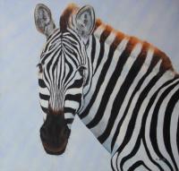 Zebra Portrait by Andrew Kiss
